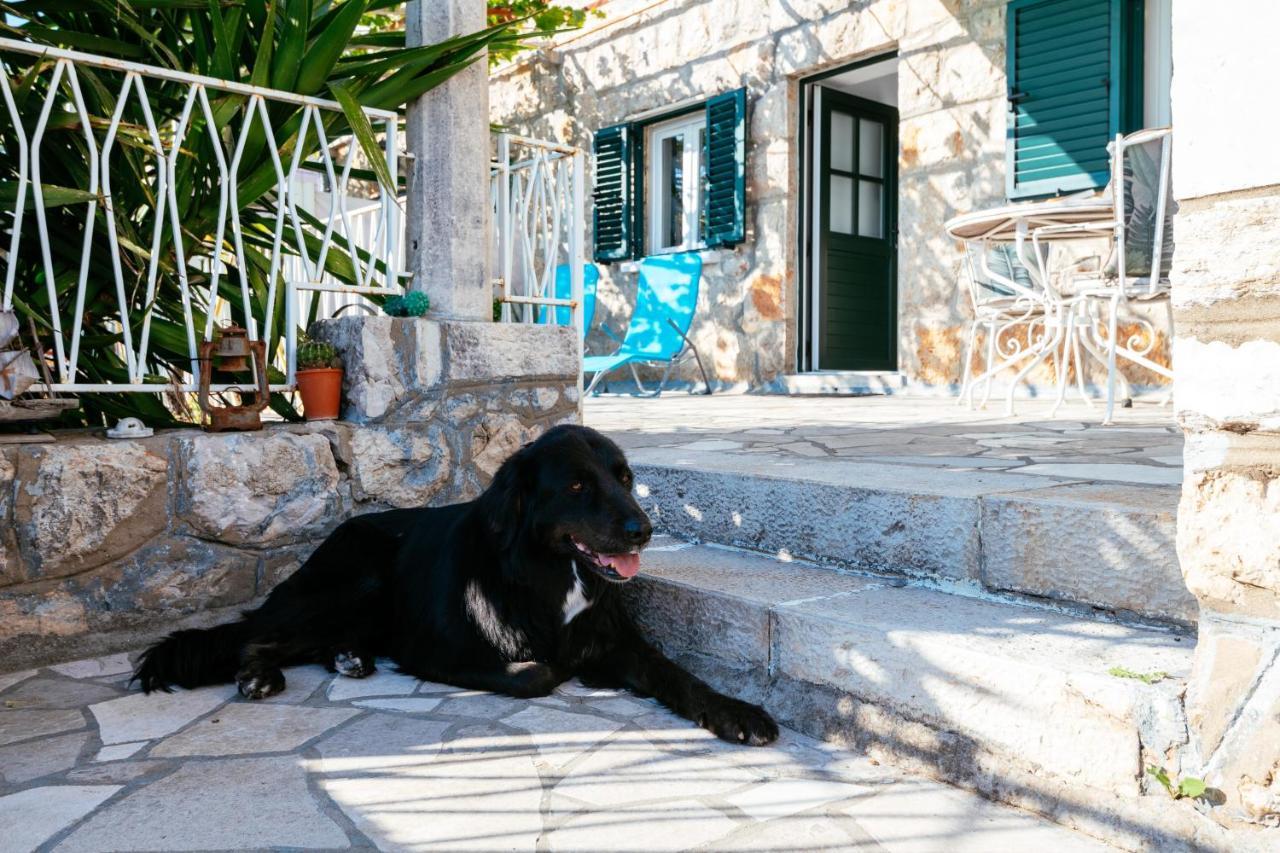 Apartment A Kind Of Magic Dubrovnik Buitenkant foto